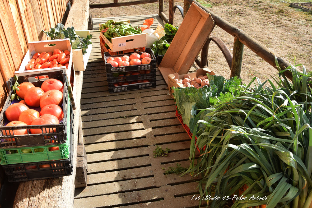 LA AGRICULTURA ECOLOGICA POR LA REAL CABAÑA DE CARRETEROS EN QUINTANAR DE LA SIERRA